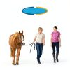 Farnam Repel X Water-Based Fly Spray for Horses & Dogs 32 oz-12