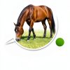 Ivermectin Horse Paste 1.87% Apple Flavored Shevat for Horses-6