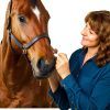 Ivermectin Horse Paste 1.87% Apple Flavored Shevat for Horses-1