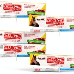 Durvet Ivermectin Paste Dewormer 6.08g Dose Apple Flavor - 6 Pack-0