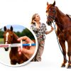 Ivermectin Horse Paste 1.87% Apple Flavor OZIPCO for Horses 1250lb-6