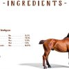 Manna Pro Simply Flax for Horses – Omega-3 Rich Flaxseed Supplement – Supports Coat Health, Joint Function & Immune System – Natural Source of Essential Fatty Acids – Ground Flax – 8 lb Bag-6