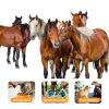 Dewormer for Horse and Poultry Bingbrofam Ivermectin Liquid Formula-4