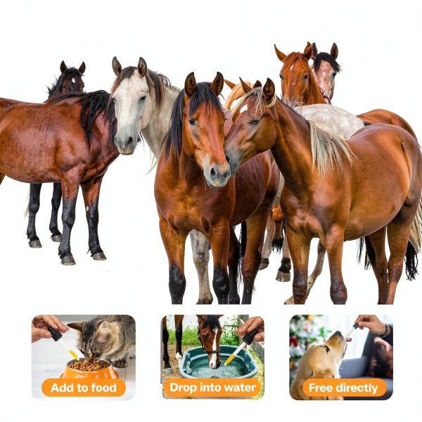Dewormer for Horse and Poultry Bingbrofam Ivermectin Liquid Formula-4