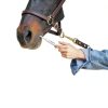 Farnam IverCare 1.87% Apple Horse Dewormer Paste 0.21 oz for 1,250 lb-4
